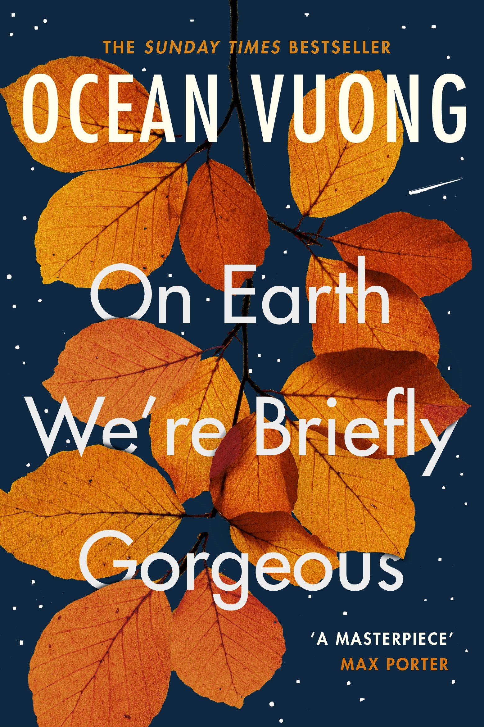 on-earth-we're-briefly-gorgeous