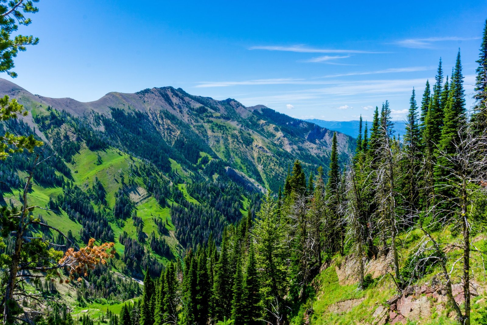 Top 15 Best Things to Do in Bozeman, MT