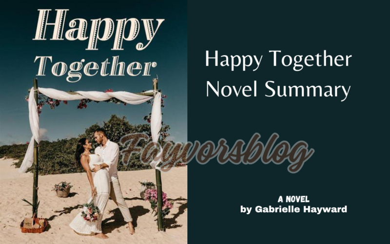 Happy Together Novel Summary