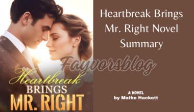 Heartbreak Brings Mr. Right Novel Summary