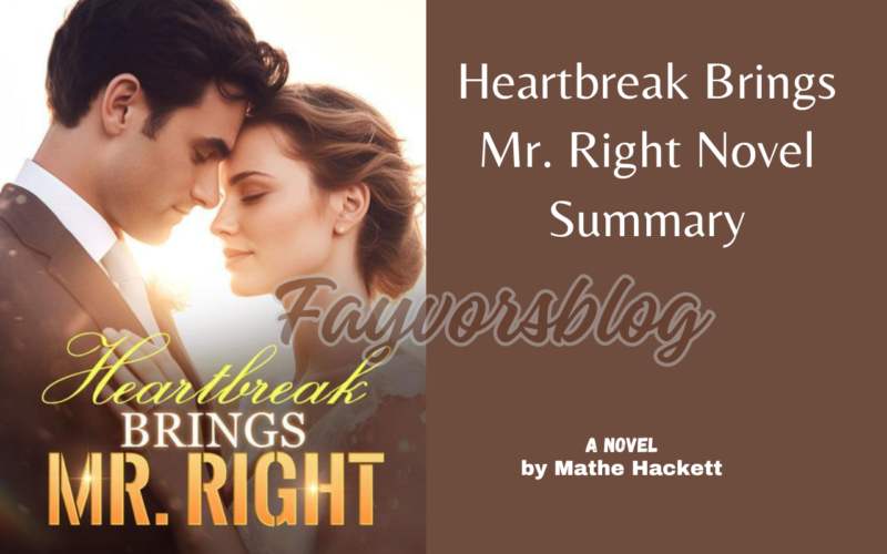 Heartbreak Brings Mr. Right Novel Summary